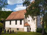 Fledermäuse als Untermieter in der denkmalgeschützten Kirche St. Maria in Mulfingen Buchenbach
